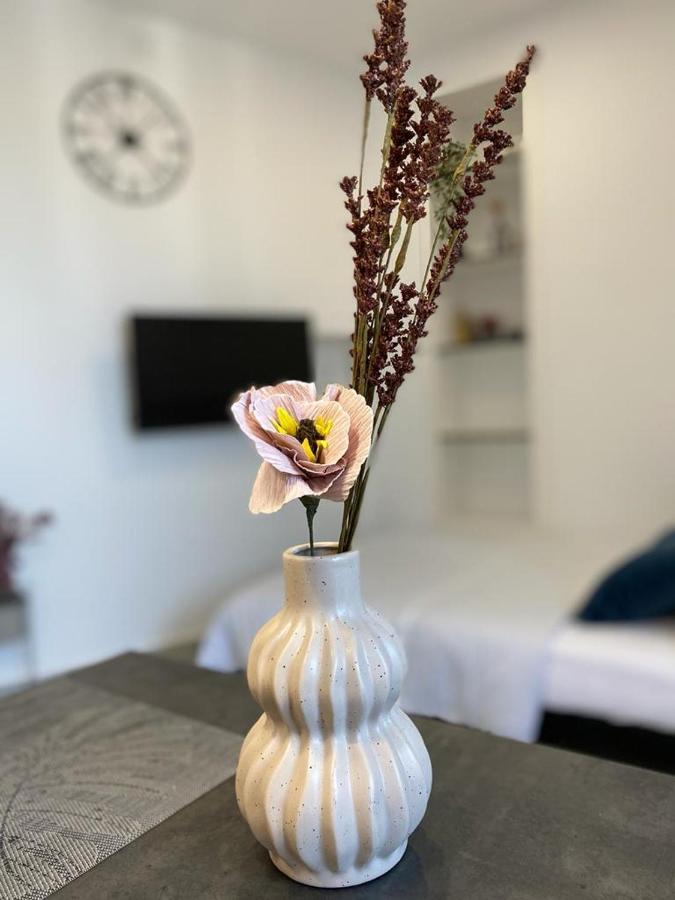 Vibes Apartment